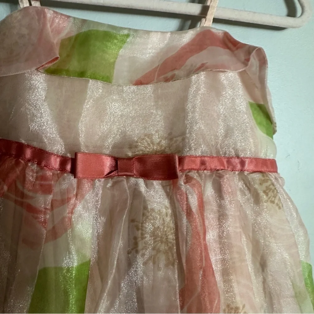 Baby GAP Pink Floral Chiffon Dress